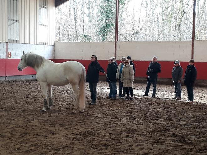 Equicoaching seminar with France Protect